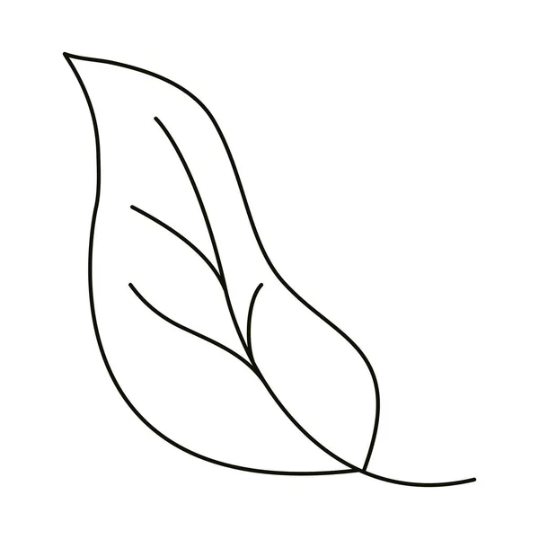 Liście linia ikona styl, liść botaniczny element — Wektor stockowy