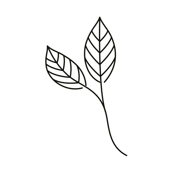 Levelek vonal ikon stílus, ökológiai lombozat — Stock Vector