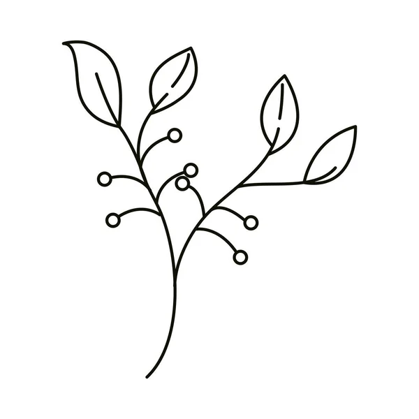 葉のラインアイコンスタイル、葉の枝果実の性質 — ストックベクタ