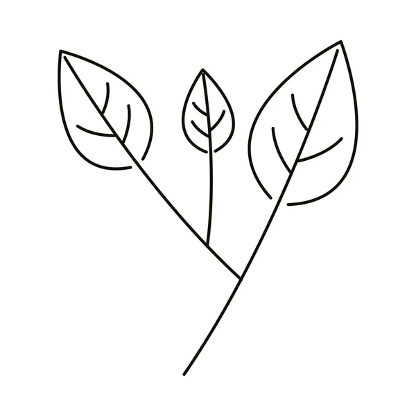 Foglie linea icona stile, ramo foglia a base di erbe minimalista — Vettoriale Stock