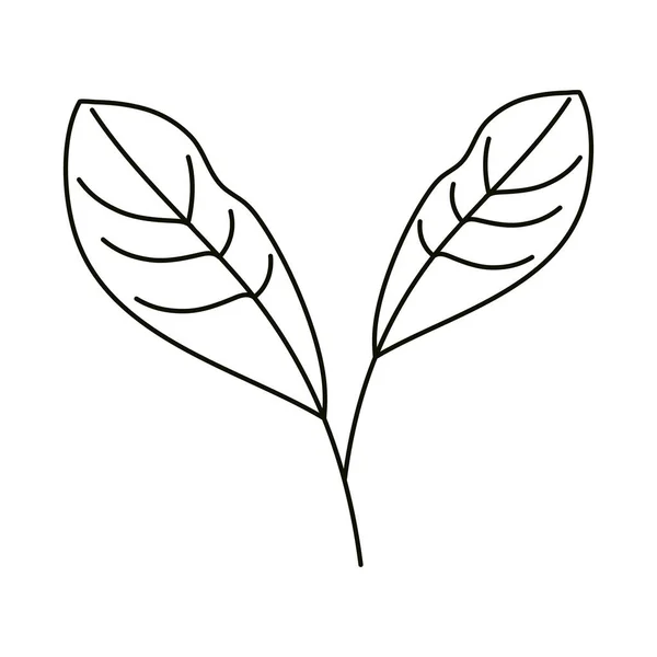 Folhas linha ícone estilo, folhas naturais ervas — Vetor de Stock