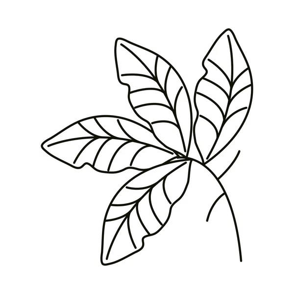 Листя лінії стиль значка, елемент прикраси листя гілки — стоковий вектор