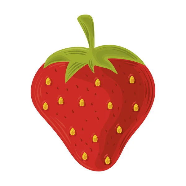 Lebensmittel, Erdbeere frische Früchte isoliert weißen Hintergrund — Stockvektor