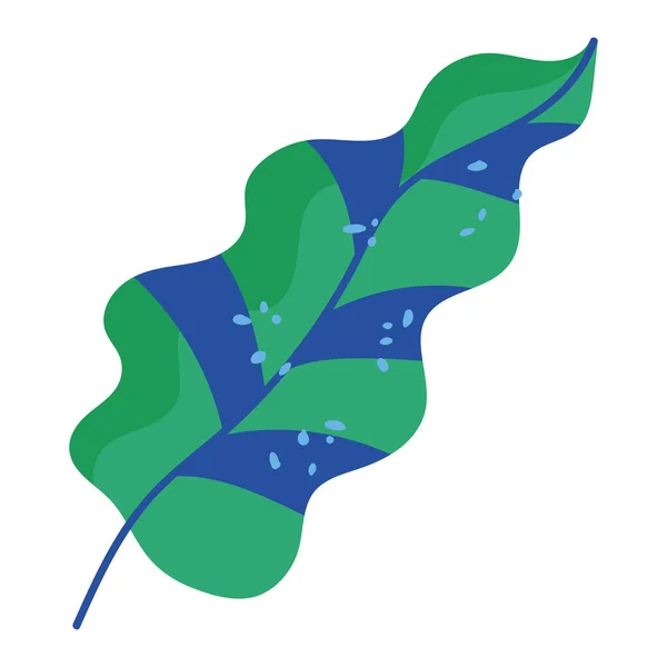 绿色和蓝色叶绿素自然叶绿素装饰图标白色背景 — 图库矢量图片