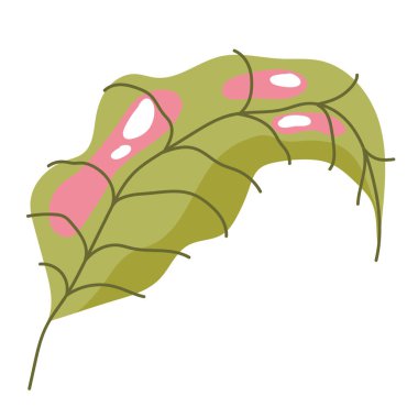 Beyaz arkaplanda yaprak yaprakları süsleme eğrisi soyut simgesi