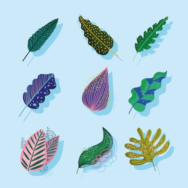 Yaprak yaprakları soyut süs bitkisi dekorasyon simgeleri ayarlandı