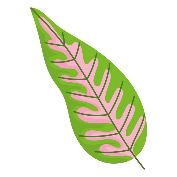 Hoja naturaleza follaje decoración verde y rosa icono de color sobre fondo blanco — Vector de stock