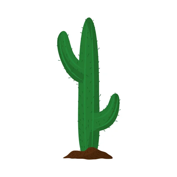 Kaktus atau sukulen alam tanaman eksotis ikon terisolasi - Stok Vektor