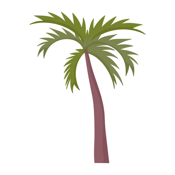 Palm boom gebladerte tropische exotische plant pictogram cartoon — Stockvector