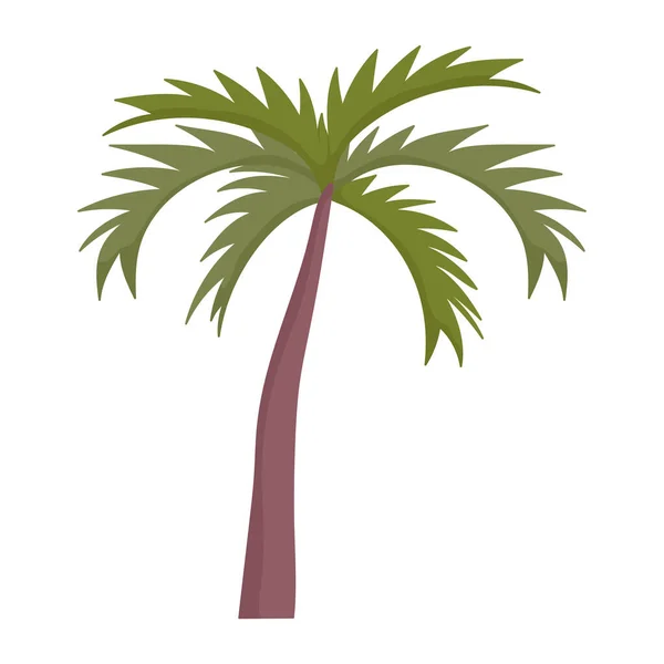 Palmeira folhagem tropical planta ícone cartoon — Vetor de Stock