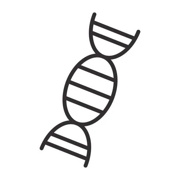 Biologia genética dna molécula ciência elemento linha ícone estilo — Vetor de Stock