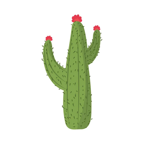 Kaktusy lub soczyste rośliny pustynia natura odizolowana ikona — Wektor stockowy