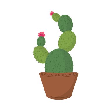 Saksı bitkisindeki kaktüsler çiçek desenleri izole edilmiş ikonlar.