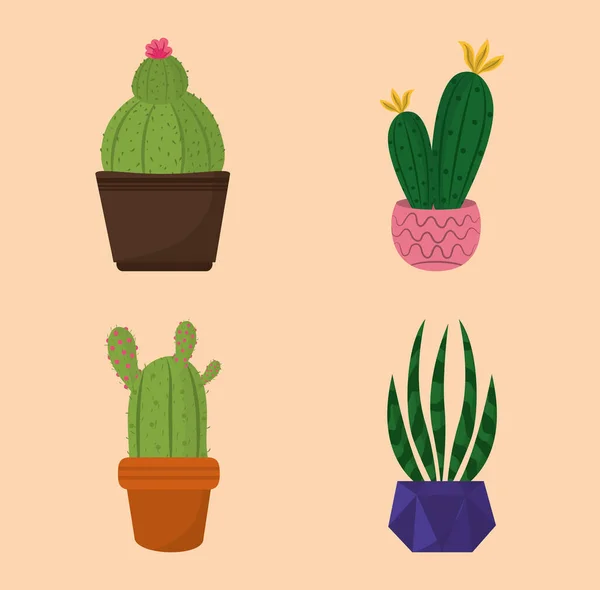 Conjunto de iconos maceta cactus decoración jardín — Archivo Imágenes Vectoriales