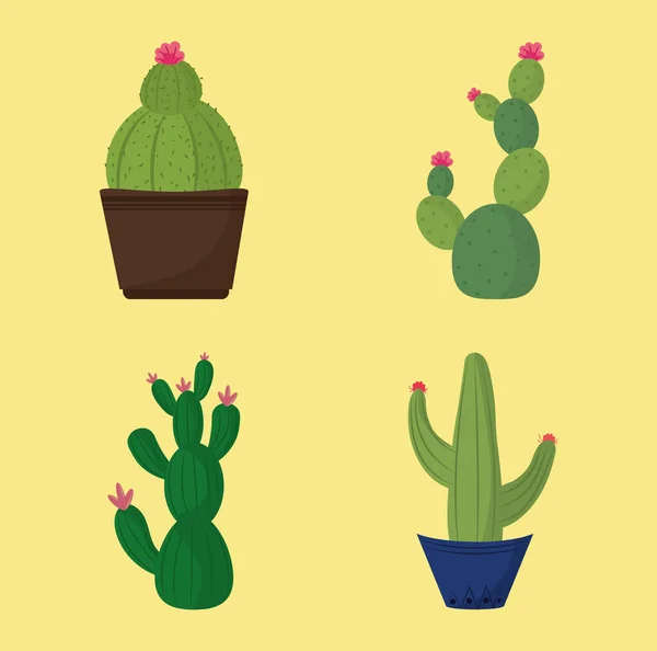 Cactus en maceta o suculentas naturaleza ecología decoración iconos — Archivo Imágenes Vectoriales