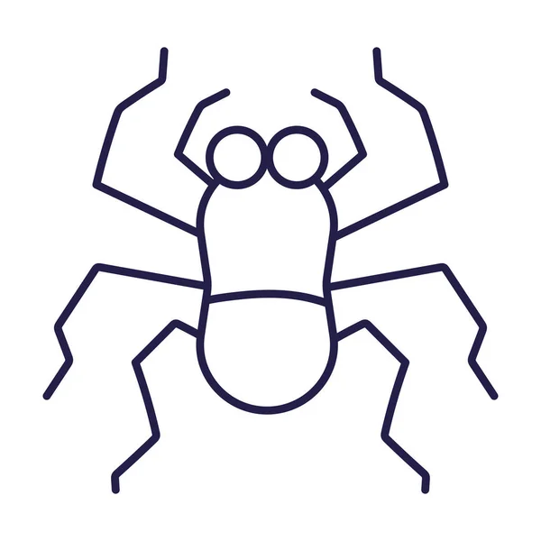 Spider insect animal in cartoon line icon style — Stock Vector