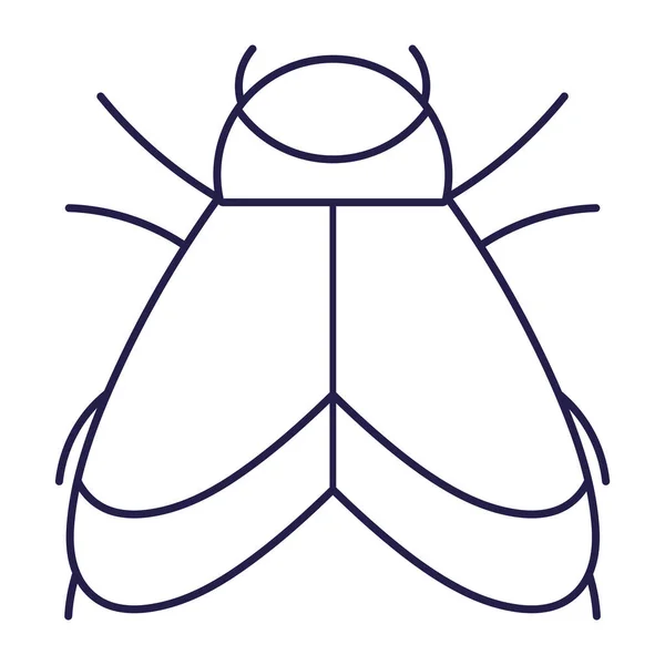 Çizgi film simgesi biçiminde kanatlı hayvan böceği — Stok Vektör
