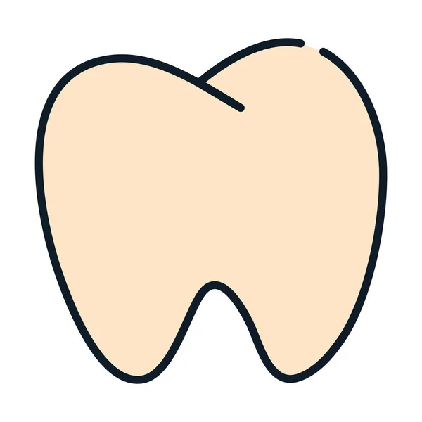 Stomatologii zębów zdrowia linii usług medycznych i wypełnić — Wektor stockowy