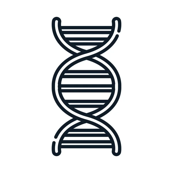Icona della linea genetica della molecola del DNA medico sanitario — Vettoriale Stock