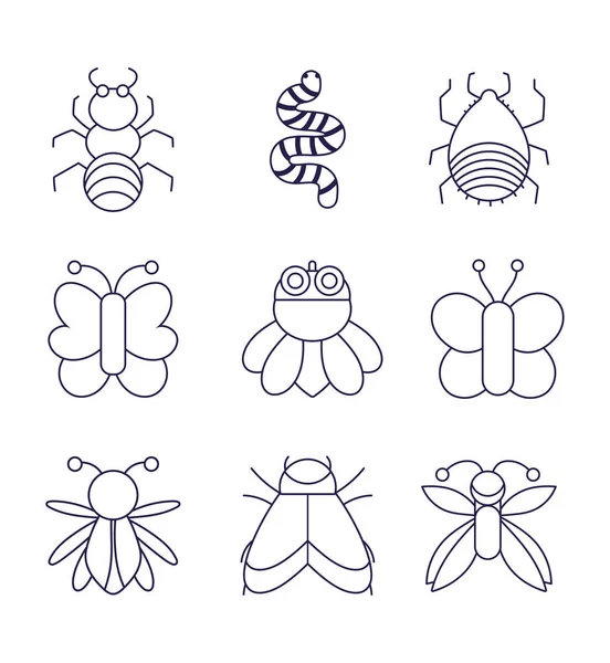 Collection bugs natural animal cartoon in linear style — Stock Vector