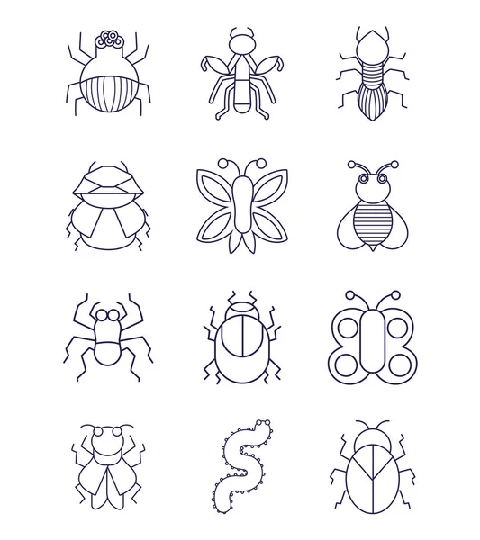 Reihe von verschiedenen Insekten oder Käfern Kleintiere linearen Stil — Stockvektor