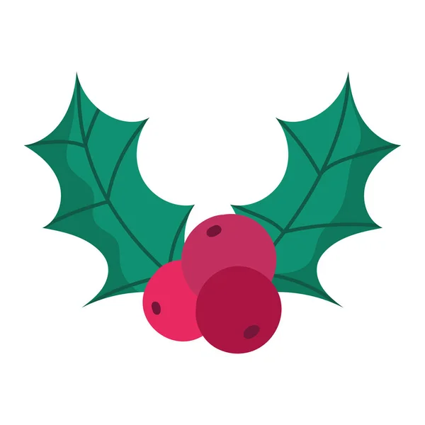 Merry christmas holly berry decoration and celebration icon — Stock Vector