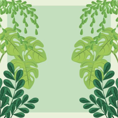 Bitki örtüsü yaprakları yeşillik doğa dekorasyonu arka plan