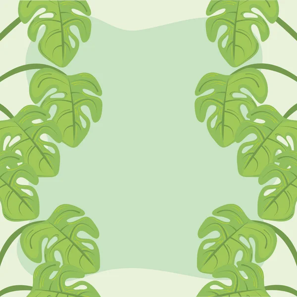 Plantes feuilles monstera décoration fond vert — Image vectorielle