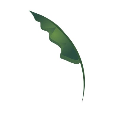 Beyaz arkaplan üzerinde yaprak doğal bitki yaprağı simgesi