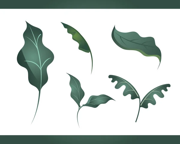 Blätter verzweigen Natur Vegetation und Pflanzen Ikonen — Stockvektor