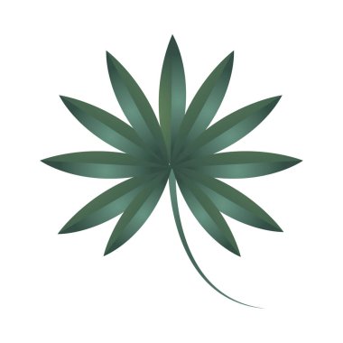 dal yaprakları ekolojisi bitki doğa ikonu izole