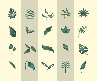 Yaprakların toplanması bitki yaprağı botanik doğa simgeleri