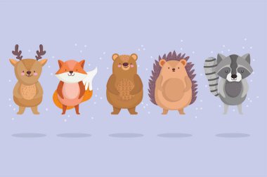 Küçük şirin ren geyiği tilki kirpi ve çizgi film dizaynında yıldızlı rakun hayvanı.