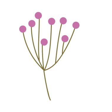 Yeşillik dalı: Doğa simgesi beyaz arkaplan