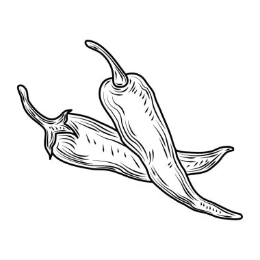 sebze biberi baharatlı taze organik yiyecek, el yapımı simge.