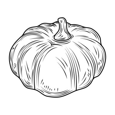 sebze kabağı taze organik yiyecek, el yapımı ikon