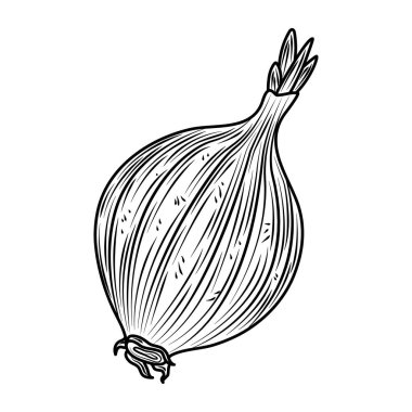 sebze soğanı taze organik gıda, el yapımı ikon.