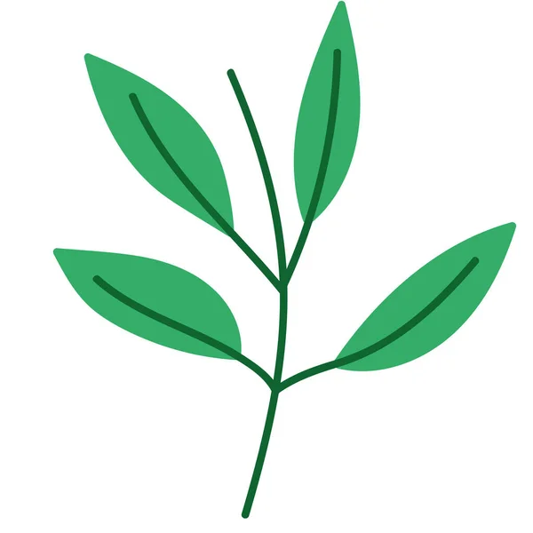 Natural branch leaves plant foliage icon design — Διανυσματικό Αρχείο