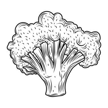 Sebze brokoli. Taze organik gıda. El yapımı simge.