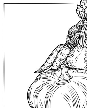 sebze kabağı havucu ve pancar taze organik doğa, el yapımı.