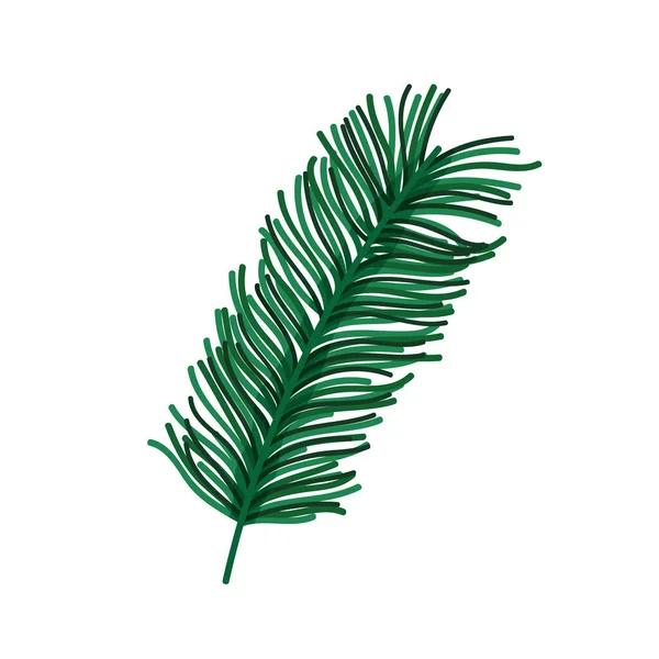 Rama pino follaje naturaleza icono diseño — Vector de stock