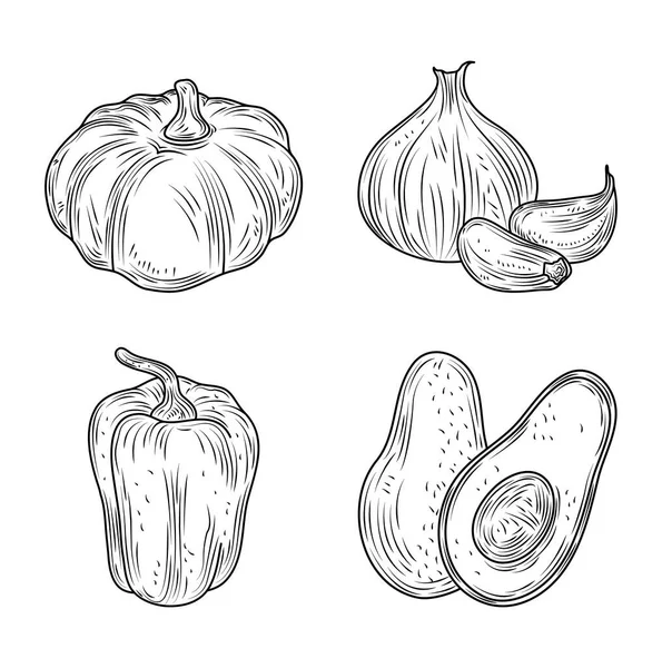 Dýně avokádo pepř a česneková zelenina čerstvá bio příroda, ručně kreslený styl — Stockový vektor