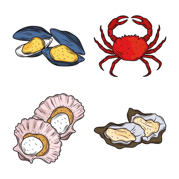 Seafood crab clams mussels oysters menu gourmet fresh icon isolated image — Stock Vector
