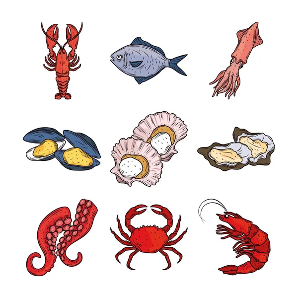 Zeevruchten kreeft inktvis krab octopus oesters menu gastronomie vers pictogram geïsoleerd beeld — Stockvector