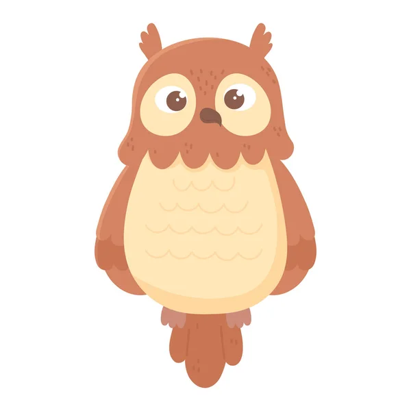 Owl cartoon cute animal icon white background — Stock Vector