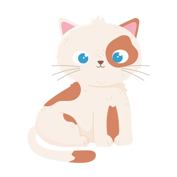 Lindo gato con azul ojos dibujos animados animal icono blanco fondo — Vector de stock