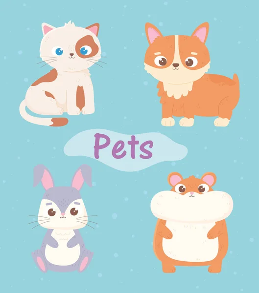 Niedliche Katze Hund Hamster und Kaninchen Haustiere Cartoon Tiere — Stockvektor