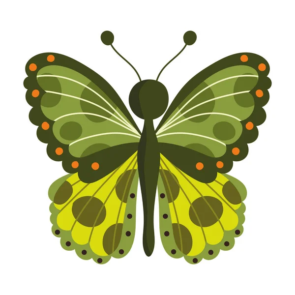 Mariposa insecto animal tropical, alas decorativas sobre fondo blanco — Vector de stock