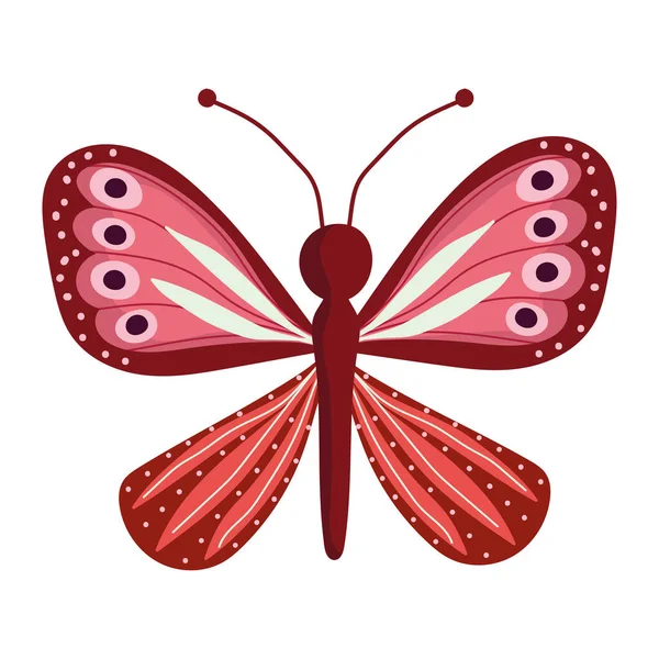 Mariposa insecto animal, alas decorativas tono rojo, sobre fondo blanco — Archivo Imágenes Vectoriales