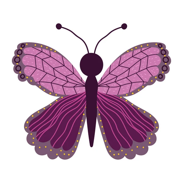 Mariposa rosa insecto animal, alas decorativas sobre fondo blanco — Vector de stock